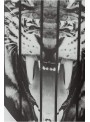 Camiseta Philipp Plein - Tiger White